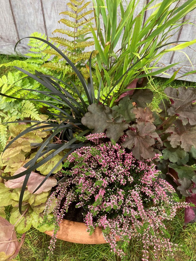 web Autumn containers 6